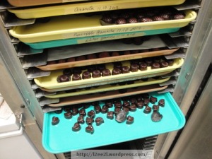 Chocolates in Progress