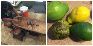 Pa'i 'ai demonstration Papaya, Avocado, Cherimoya from the Open Market