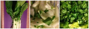 White Stem Cabbage